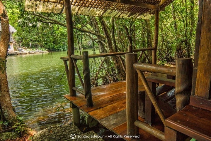 nature image 2